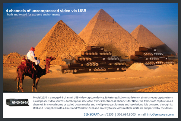 postcard_camel.jpg