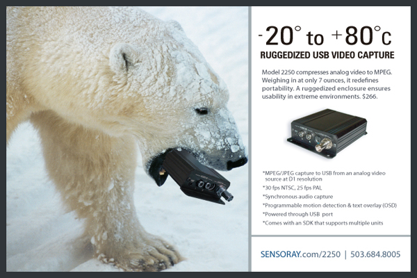 postcard_polarbear.jpg